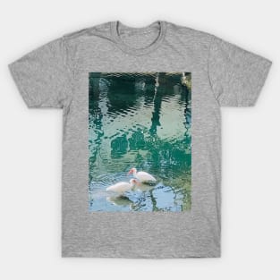 Bird T-Shirt